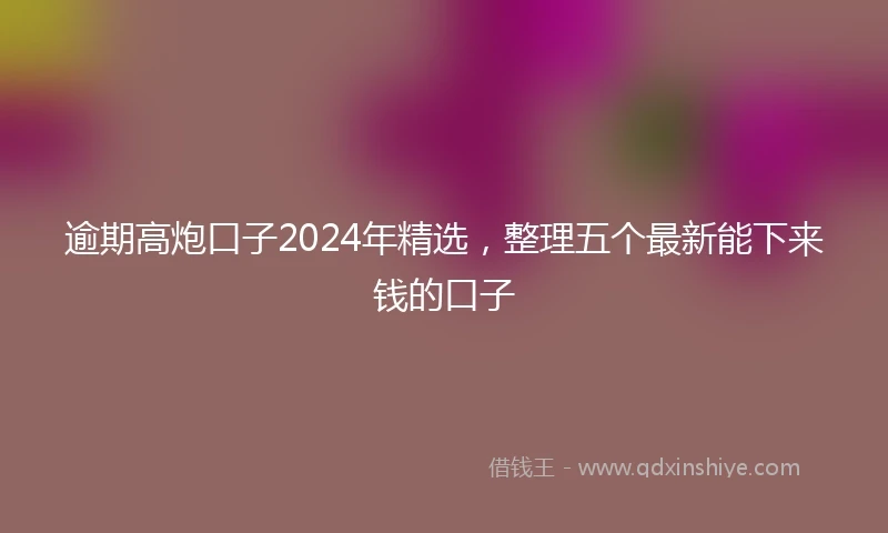 逾期高炮口子2024年精选，整理五个最新能下来钱的口子