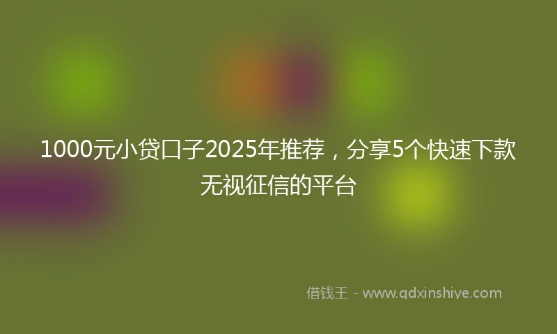 1000元小贷口子2025年推荐，分享5个快速下款无视征信的平台