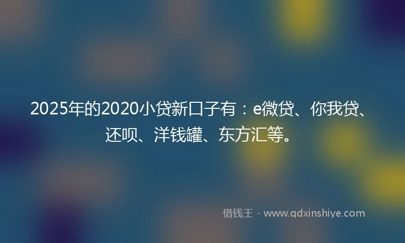 2025年的2020小贷新口子有：e微贷、你我贷、还呗、洋钱罐、东方汇等。