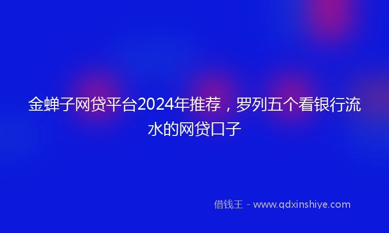 金蝉子网贷平台2024年推荐，罗列五个看银行流水的网贷口子