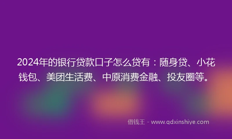 2024年的银行贷款口子怎么贷有：随身贷、小花钱包、美团生活费、中原消费金融、投友圈等。