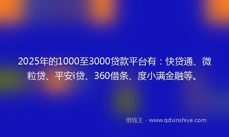 2025年的1000至3000贷款平台有：快贷通、微粒贷、平安i贷、360借条、度小满金融等。