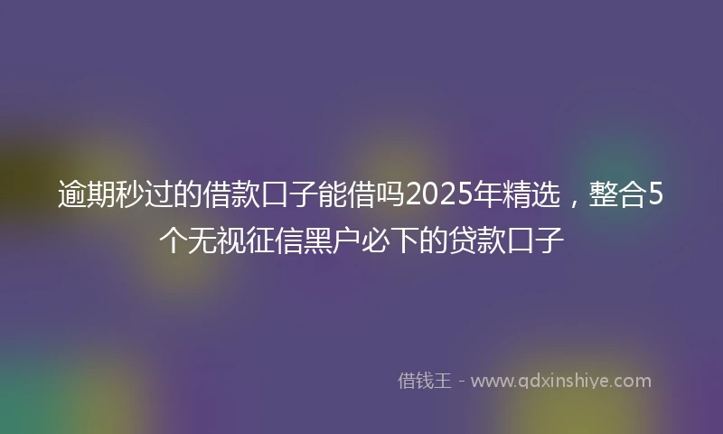 逾期秒过的借款口子能借吗2025年精选，整合5个无视征信黑户必下的贷款口子