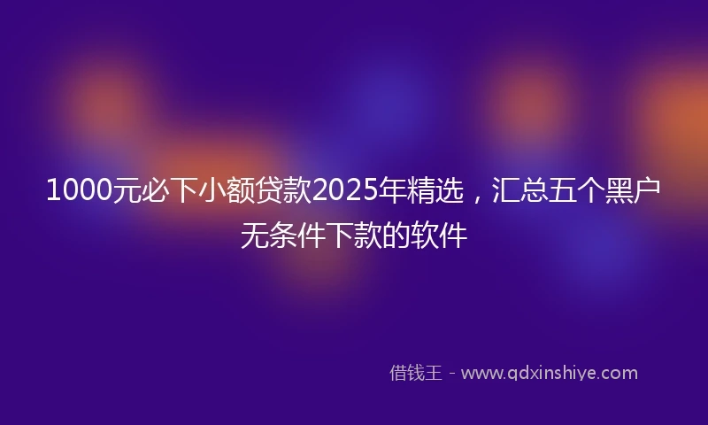 1000元必下小额贷款2025年精选，汇总五个黑户无条件下款的软件
