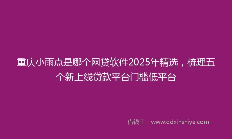 重庆小雨点是哪个网贷软件2025年精选，梳理五个新上线贷款平台门槛低平台