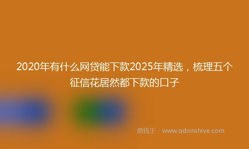 2020年有什么网贷能下款2025年精选，梳理五个征信花居然都下款的口子