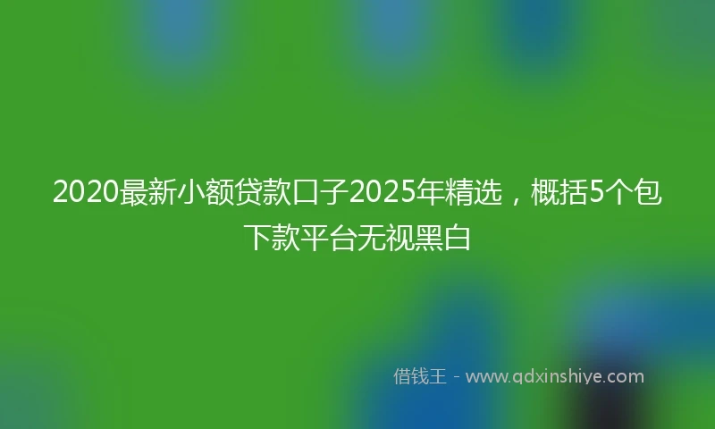 2020最新小额贷款口子2025年精选，概括5个包下款平台无视黑白