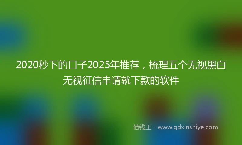 2020秒下的口子2025年推荐，梳理五个无视黑白无视征信申请就下款的软件