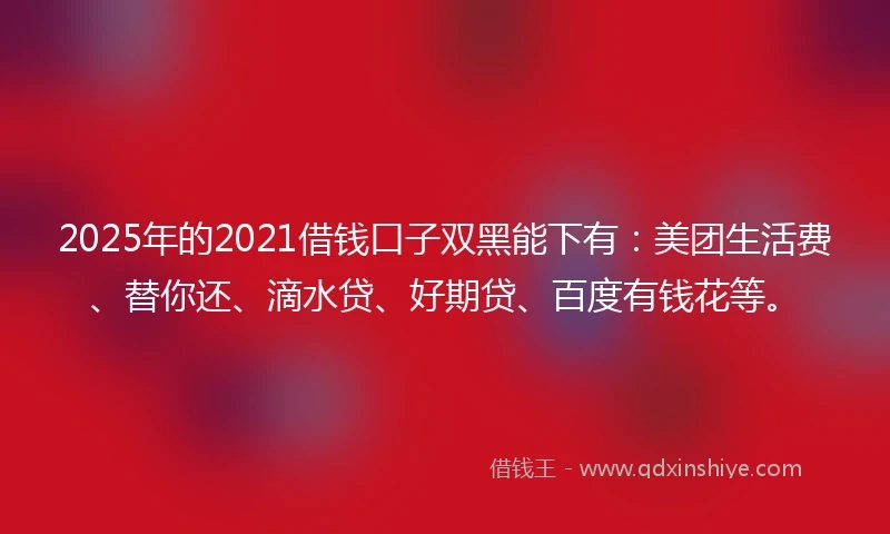 2025年的2021借钱口子双黑能下有：美团生活费、替你还、滴水贷、好期贷、百度有钱花等。