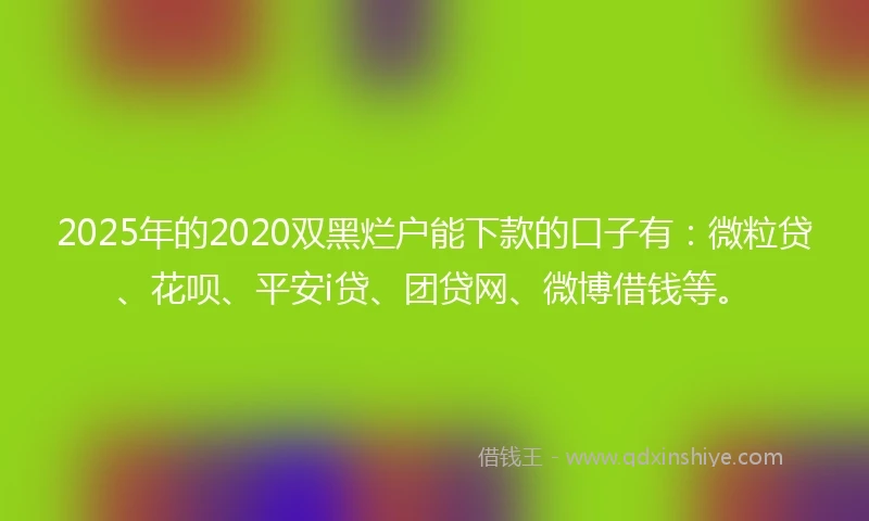 2025年的2020双黑烂户能下款的口子有：微粒贷、花呗、平安i贷、团贷网、微博借钱等。