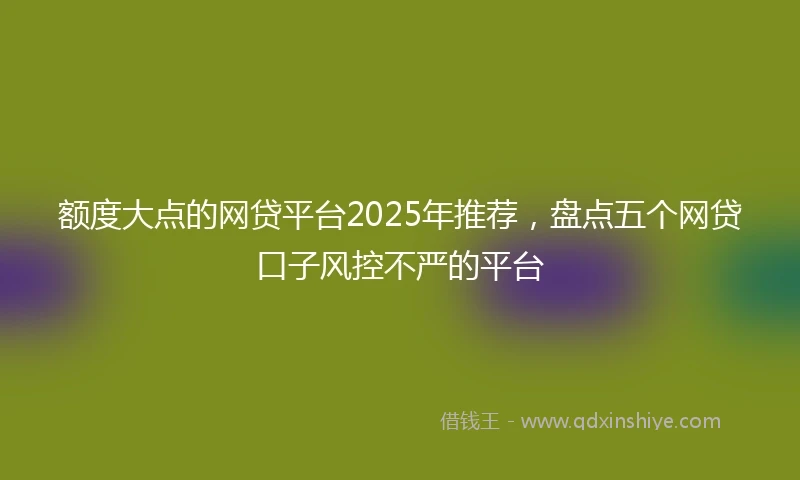 额度大点的网贷平台2025年推荐，盘点五个网贷口子风控不严的平台