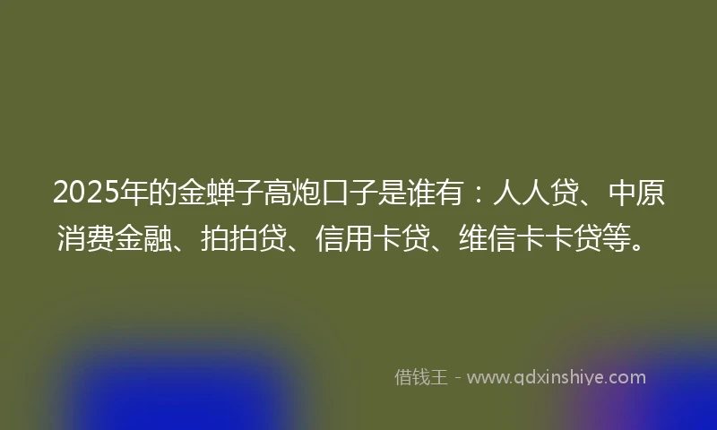2025年的金蝉子高炮口子是谁有：人人贷、中原消费金融、拍拍贷、信用卡贷、维信卡卡贷等。