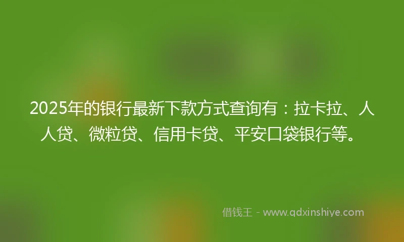 2025年的银行最新下款方式查询有：拉卡拉、人人贷、微粒贷、信用卡贷、平安口袋银行等。
