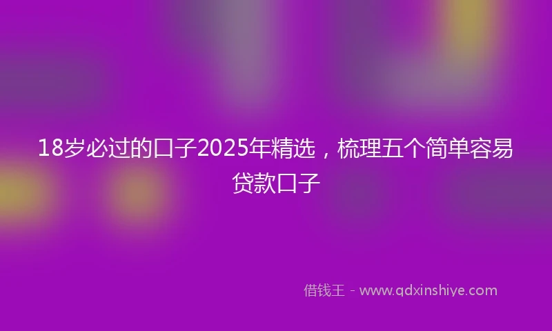 18岁必过的口子2025年精选，梳理五个简单容易贷款口子