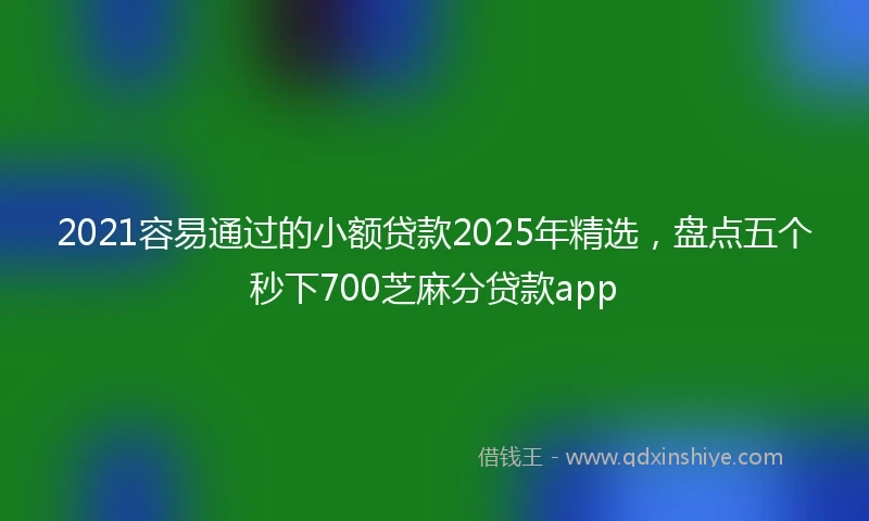 2021容易通过的小额贷款2025年精选，盘点五个秒下700芝麻分贷款app