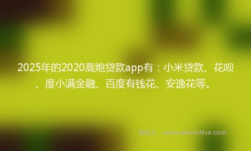 2025年的2020高炮贷款app有：小米贷款、花呗、度小满金融、百度有钱花、安逸花等。