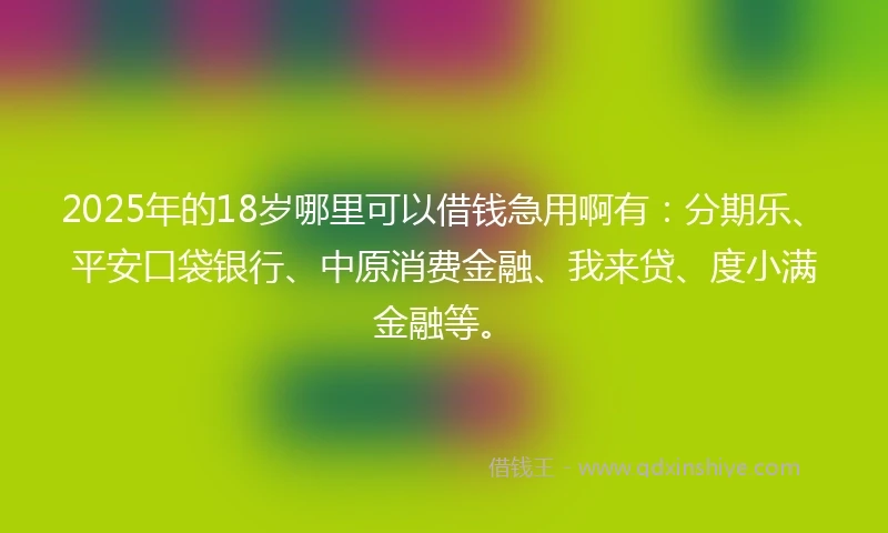 2025年的18岁哪里可以借钱急用啊有：分期乐、平安口袋银行、中原消费金融、我来贷、度小满金融等。