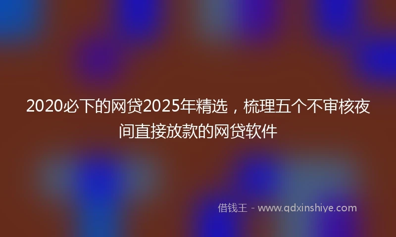 2020必下的网贷2025年精选，梳理五个不审核夜间直接放款的网贷软件