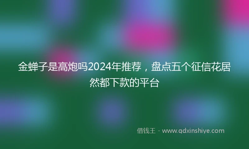 金蝉子是高炮吗2024年推荐，盘点五个征信花居然都下款的平台