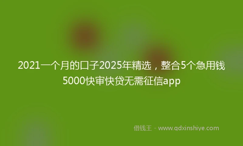 2021一个月的口子2025年精选，整合5个急用钱5000快审快贷无需征信app