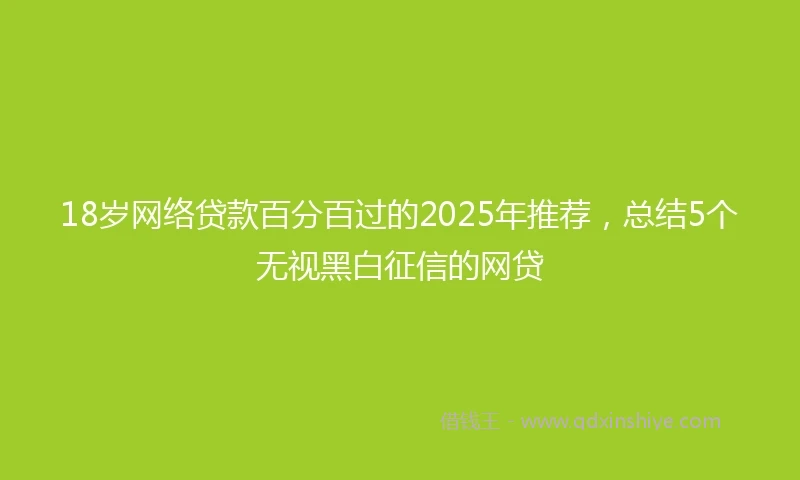 18岁网络贷款百分百过的2025年推荐，总结5个无视黑白征信的网贷