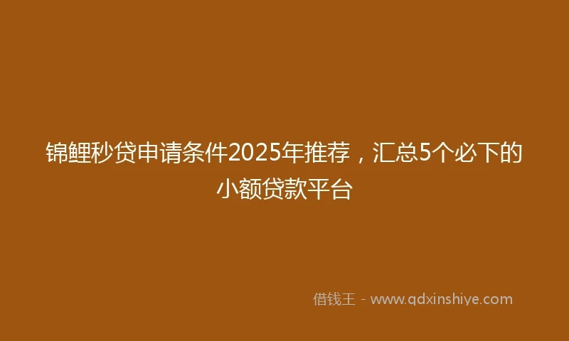 锦鲤秒贷申请条件2025年推荐，汇总5个必下的小额贷款平台
