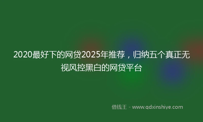 2020最好下的网贷2025年推荐，归纳五个真正无视风控黑白的网贷平台