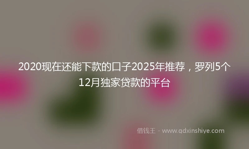 2020现在还能下款的口子2025年推荐，罗列5个12月独家贷款的平台