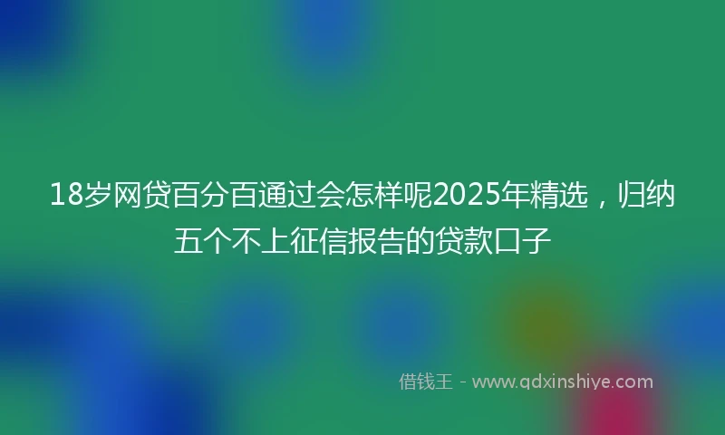 18岁网贷百分百通过会怎样呢2025年精选，归纳五个不上征信报告的贷款口子