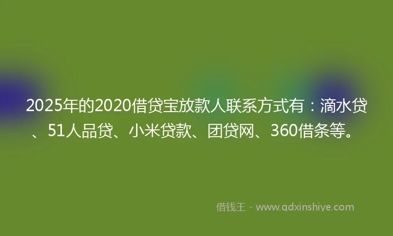 2025年的2020借贷宝放款人联系方式有：滴水贷、51人品贷、小米贷款、团贷网、360借条等。