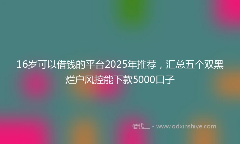 16岁可以借钱的平台2025年推荐，汇总五个双黑烂户风控能下款5000口子