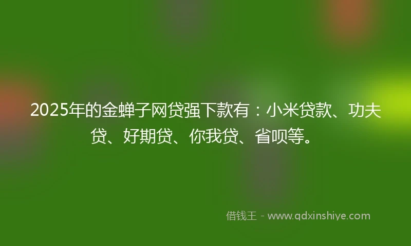 2025年的金蝉子网贷强下款有：小米贷款、功夫贷、好期贷、你我贷、省呗等。