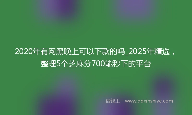 2020年有网黑晚上可以下款的吗_2025年精选，整理5个芝麻分700能秒下的平台