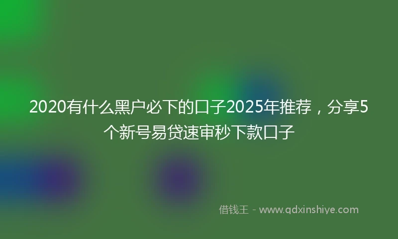 2020有什么黑户必下的口子2025年推荐，分享5个新号易贷速审秒下款口子