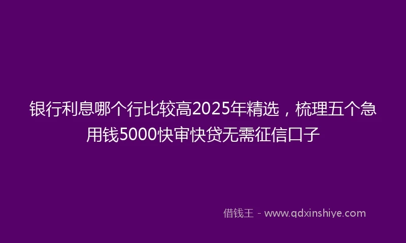 银行利息哪个行比较高2025年精选，梳理五个急用钱5000快审快贷无需征信口子