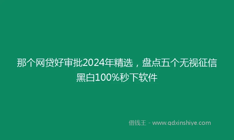那个网贷好审批2024年精选，盘点五个无视征信黑白100%秒下软件