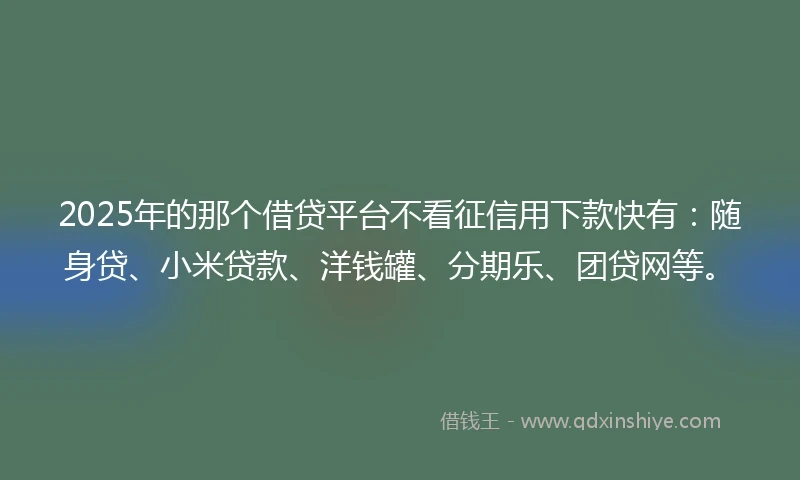 2025年的那个借贷平台不看征信用下款快有：随身贷、小米贷款、洋钱罐、分期乐、团贷网等。
