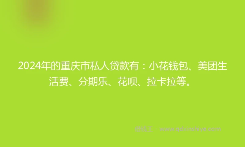 2024年的重庆市私人贷款有：小花钱包、美团生活费、分期乐、花呗、拉卡拉等。