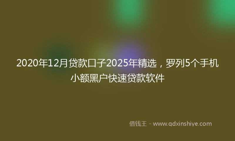 2020年12月贷款口子2025年精选，罗列5个手机小额黑户快速贷款软件