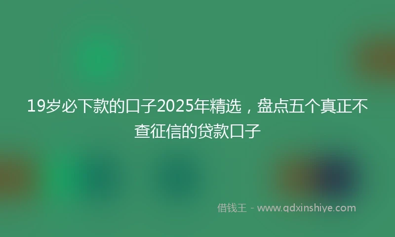 19岁必下款的口子2025年精选，盘点五个真正不查征信的贷款口子