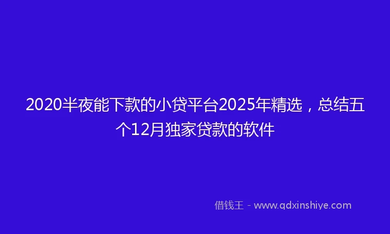 2020半夜能下款的小贷平台2025年精选，总结五个12月独家贷款的软件