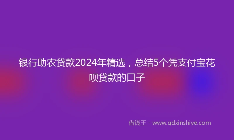 银行助农贷款2024年精选，总结5个凭支付宝花呗贷款的口子
