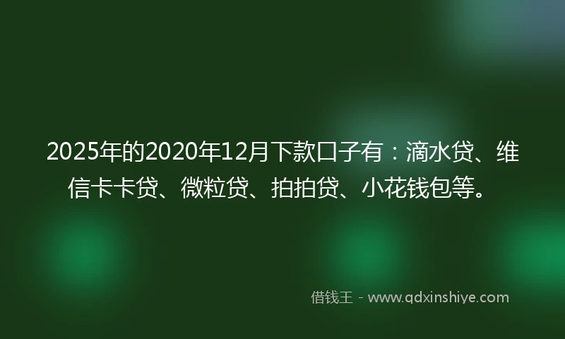 2025年的2020年12月下款口子有：滴水贷、维信卡卡贷、微粒贷、拍拍贷、小花钱包等。