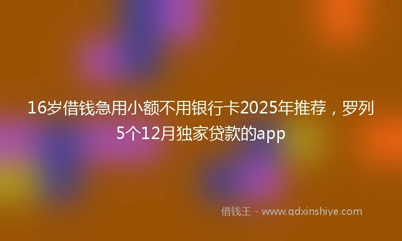 16岁借钱急用小额不用银行卡2025年推荐，罗列5个12月独家贷款的app