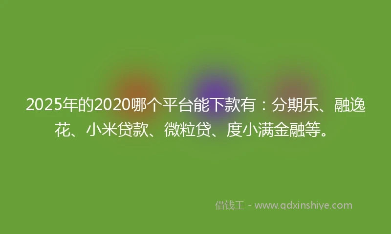 2025年的2020哪个平台能下款有：分期乐、融逸花、小米贷款、微粒贷、度小满金融等。