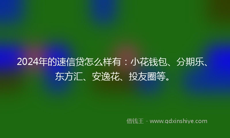 2024年的速信贷怎么样有：小花钱包、分期乐、东方汇、安逸花、投友圈等。