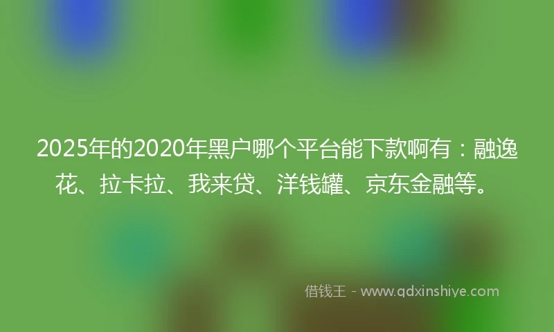 2025年的2020年黑户哪个平台能下款啊有：融逸花、拉卡拉、我来贷、洋钱罐、京东金融等。