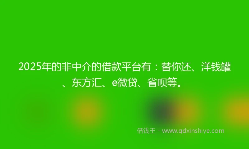 2025年的非中介的借款平台有：替你还、洋钱罐、东方汇、e微贷、省呗等。