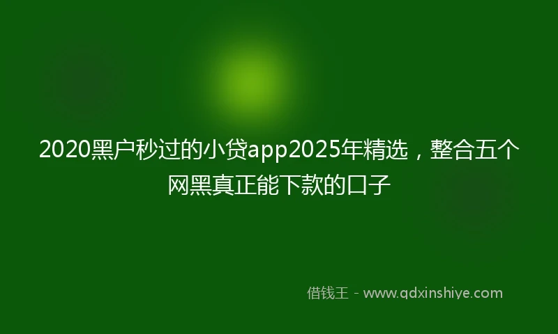 2020黑户秒过的小贷app2025年精选，整合五个网黑真正能下款的口子