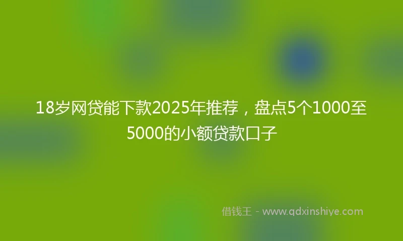 18岁网贷能下款2025年推荐，盘点5个1000至5000的小额贷款口子